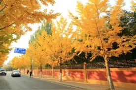 【FENG娱】南宫旅游景区：浪漫街景，舒适温泉，可爱丰收，错过等一年图片