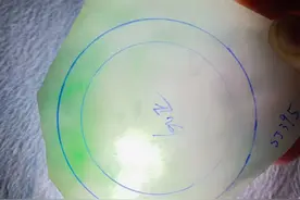 老种白底飘阳绿手镯片料图片