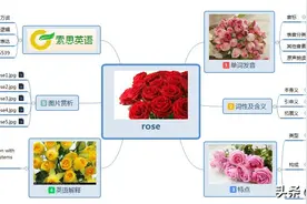 索思英语解码单词（第199个）——rose玫瑰图片