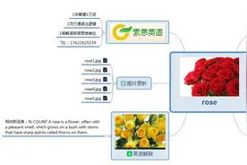 索思英语解码单词（第199个）——rose玫瑰图片