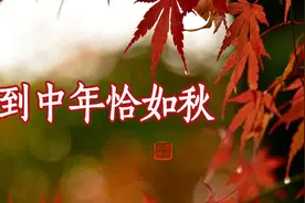 苏轼：人到中年恰如秋，看繁华落尽，望一池秋水，品一杯清欢图片