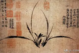 兰花之美，只有中国人能懂图片