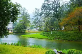 小河流水风景美丽图片