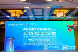 肥城桃木雕刻民俗亮相迪拜世博会中华文化馆农业品牌周启动仪式图片