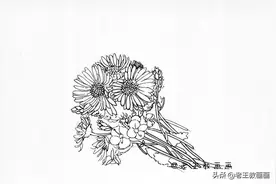 黑色的花卉线稿，简单而不失优雅（附详细教程）图片