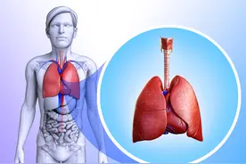 肺气不足怎么办？老中医提醒：2个穴位按一按，还你一个健康的肺图片