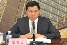 “金融内鬼”贾奇珍，被“双开”视频封面