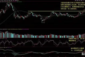 杨百万一路走好图片