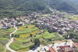 泉港：秀溪“蔗”里甜 农户笑开颜图片