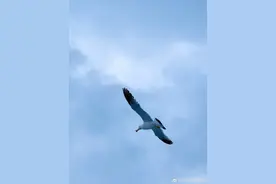 躲进山海仙境去避暑！这几条海岛线路，带你玩转刘公岛！图片