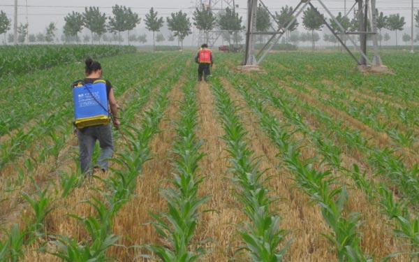 除草剂最终“归宿”大揭秘：你用过的除草剂都怎么样了