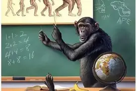 人类的起源图片
