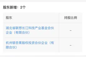 湖北联想长江科技入股凌迪科技，后者为3D数字化服务平台图片
