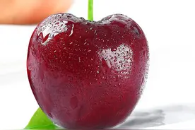 大樱桃优质高产栽培关键技术图片