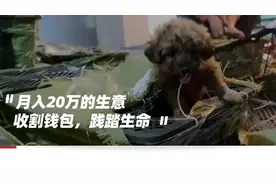 9.9元的盲盒里，抽出一具尸体图片