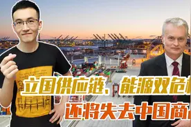 立陶宛惨了！8年心血或白费了？中国商品有多重要？图片