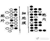 苏教版高中生物必修第一册《组成细胞的元素》教案课件视频