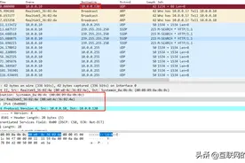 netwox使用说明图片