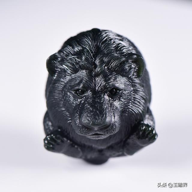 原来狮子也有萌萌的一面，身体圆浑丰满，乖巧可爱