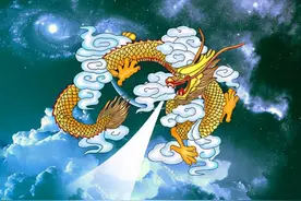 莽山烙铁头称世界上最贵的毒蛇，究竟是为什么一条价值上百万？图片