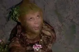 大家被“骗”33年！压孙悟空500年的五指山！并非模型竟是真山图片