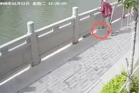 愤怒！一只小猫趴在河边 被路过男子一脚踢下河视频封面