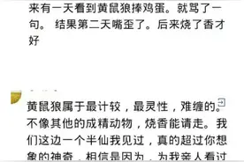 关于黄鼠狼你都听说过哪些古怪的故事？图片