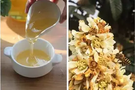 纯正的冬蜜是怎么样的？正宗纯蜂蜜是什么样的？图片