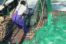 我在渔船上的真实经历图片