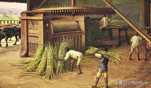 我发现一个牛X的配方 篇18：总玩文字游戏可不行-无糖酸奶种草清单