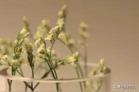 凌晨2点，妻子带着夜宵去安慰男闺蜜，第二天回家，老公：离婚吧图片