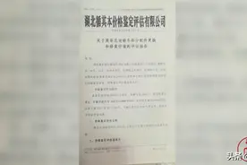 身边好人 | 荆州有这样一位律师，没钱也能帮你打官司图片