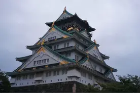 楠玩大阪游记图片