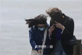 这会儿杭州正在刮大风，大风中最让你头疼的，可能是4.2万棵法国梧桐！南山路、北山街，眼睛都睁不开……图片