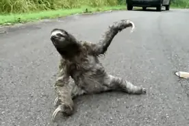 搞笑动图 女网友发过来一个仰视到俯视自拍视频，问我要不要交往图片