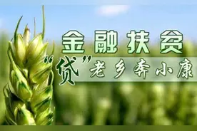 贫困户免息贷款，到期连本金都还不上，怎么办？银行会怎样？图片