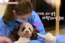 韩国女团带浓妆抱大熊猫宝宝，网友愤怒：走开，道歉图片