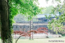 一个在青山绿水中的乐园，有动物有植物还有游乐园，夏天去好图片