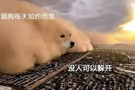 在闲鱼上，你能找到所有问题的答案图片
