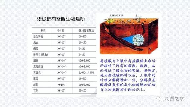氨基酸、腐殖酸、黄腐酸都是什么东东？有啥用？