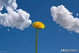 为什么说：45~55岁是女人最危险的十年？两位过来人的自诉图片