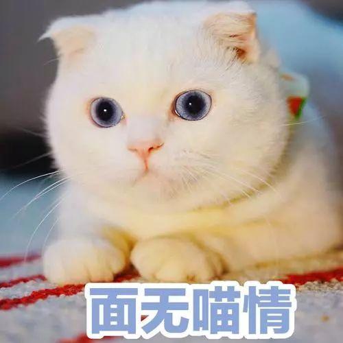 ҵĹҪѣҲҪ˿ô