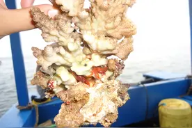 非洲肯尼亚生活工作经历分享-58（在非洲的第一个春节）图片