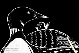 儿童画教程｜创意线描刮画--湖边水禽图片
