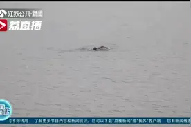 夏季冒险野游太危险！请收好这份游泳安全攻略图片