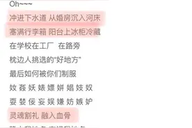谭维维歌词好敢写！2020年末了，我们终于等到了！图片