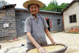 今天是我的生日，可把我带到这个世上的人，已经不在了图片