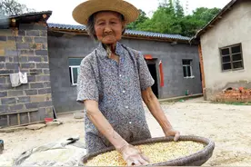 今天是我的生日，可把我带到这个世上的人，已经不在了图片