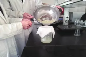 如何才能种出优质的黑木耳？制作菌种是关键，掌握技术促进丰产图片