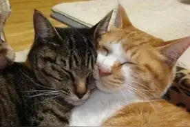 浙江地铁车厢内，年轻男女……网友直呼“辣眼睛”图片